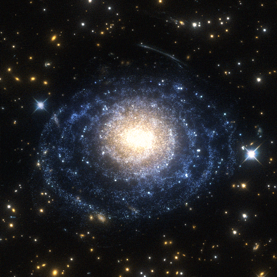 Milky Way Galaxy